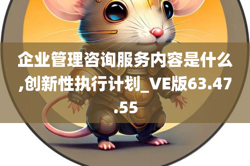 企业管理咨询服务内容是什么,创新性执行计划_VE版63.47.55