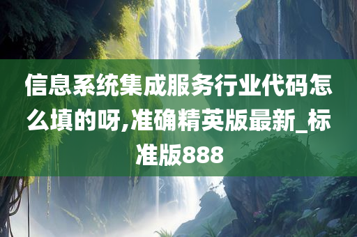 信息系统集成服务行业代码怎么填的呀,准确精英版最新_标准版888