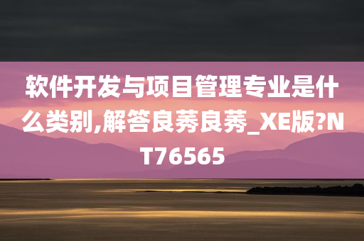 软件开发与项目管理专业是什么类别,解答良莠良莠_XE版?NT76565