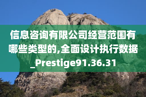 信息咨询有限公司经营范围有哪些类型的,全面设计执行数据_Prestige91.36.31