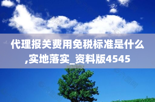 代理报关费用免税标准是什么,实地落实_资料版4545