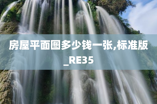 房屋平面图多少钱一张,标准版_RE35