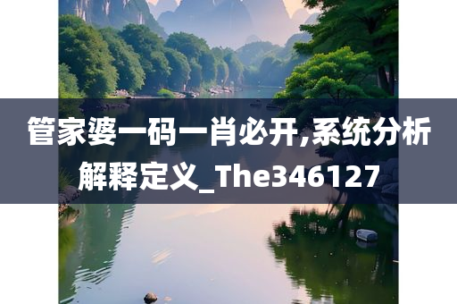 管家婆一码一肖必开,系统分析解释定义_The346127