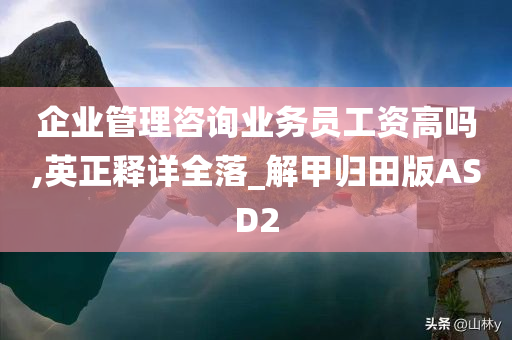 企业管理咨询业务员工资高吗,英正释详全落_解甲归田版ASD2