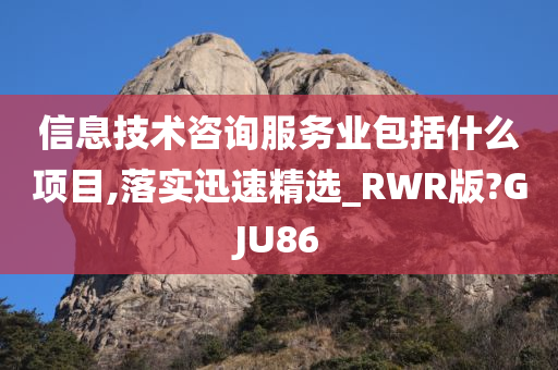 信息技术咨询服务业包括什么项目,落实迅速精选_RWR版?GJU86