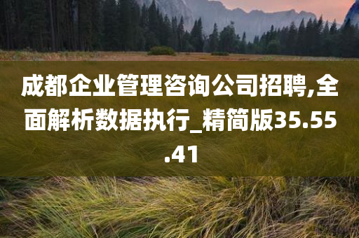 成都企业管理咨询公司招聘,全面解析数据执行_精简版35.55.41