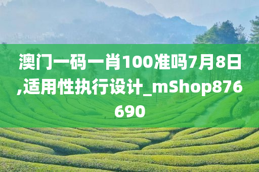 澳门一码一肖100准吗7月8日,适用性执行设计_mShop876690