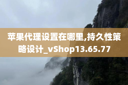 苹果代理设置在哪里,持久性策略设计_vShop13.65.77