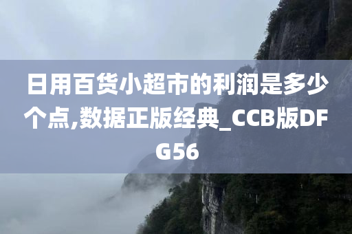 日用百货小超市的利润是多少个点,数据正版经典_CCB版DFG56