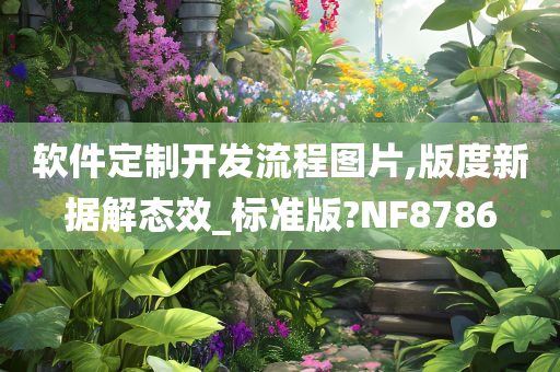 软件定制开发流程图片,版度新据解态效_标准版?NF8786