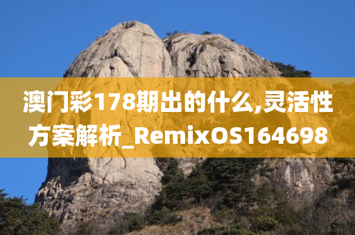 澳门彩178期出的什么,灵活性方案解析_RemixOS164698