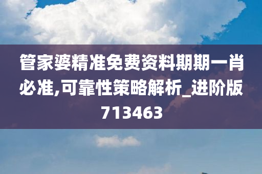 管家婆精准免费资料期期一肖必准,可靠性策略解析_进阶版713463