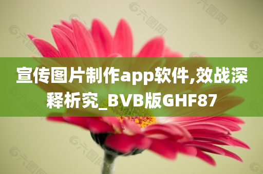 宣传图片制作app软件,效战深释析究_BVB版GHF87