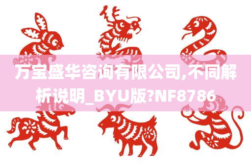 万宝盛华咨询有限公司,不同解析说明_BYU版?NF8786