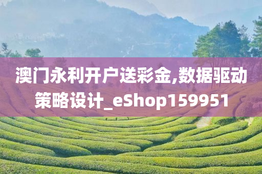 澳门永利开户送彩金,数据驱动策略设计_eShop159951