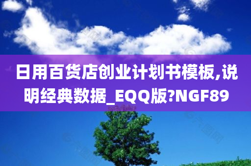 日用百货店创业计划书模板,说明经典数据_EQQ版?NGF89