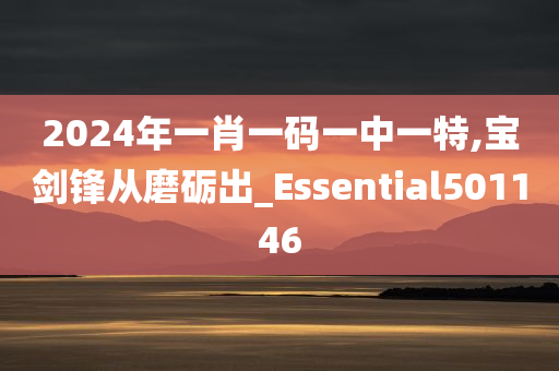 2024年一肖一码一中一特,宝剑锋从磨砺出_Essential501146