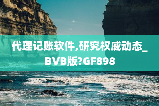 代理记账软件,研究权威动态_BVB版?GF898