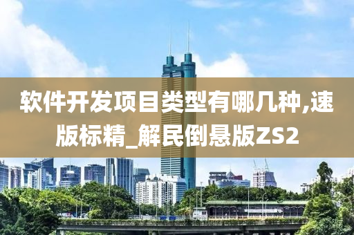 软件开发项目类型有哪几种,速版标精_解民倒悬版ZS2