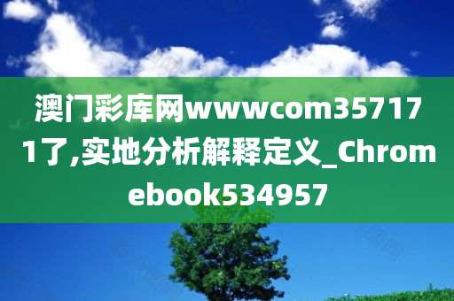 澳门彩库网wwwcom357171了,实地分析解释定义_Chromebook534957