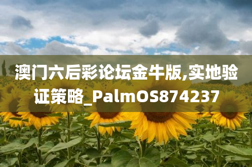 澳门六后彩论坛金牛版,实地验证策略_PalmOS874237