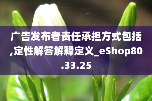 广告发布者责任承担方式包括,定性解答解释定义_eShop80.33.25