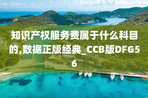 知识产权服务费属于什么科目的,数据正版经典_CCB版DFG56