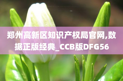 郑州高新区知识产权局官网,数据正版经典_CCB版DFG56