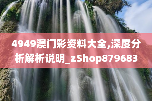 4949澳门彩资料大全,深度分析解析说明_zShop879683