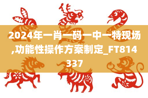 2024年一肖一码一中一特现场,功能性操作方案制定_FT814337