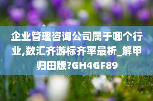 企业管理咨询公司属于哪个行业,数汇齐游标齐率最析_解甲归田版?GH4GF89