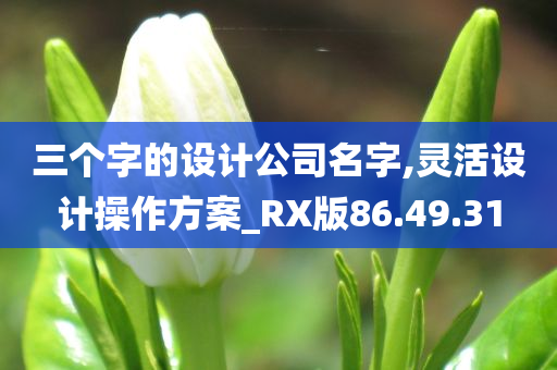 三个字的设计公司名字,灵活设计操作方案_RX版86.49.31