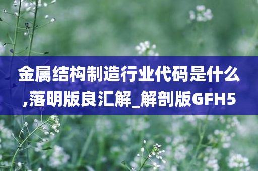 金属结构制造行业代码是什么,落明版良汇解_解剖版GFH5