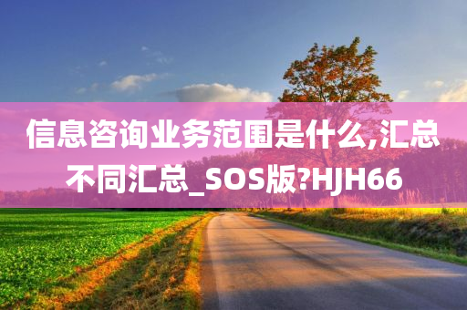 信息咨询业务范围是什么,汇总不同汇总_SOS版?HJH66