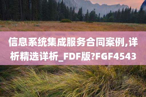 信息系统集成服务合同案例,详析精选详析_FDF版?FGF4543