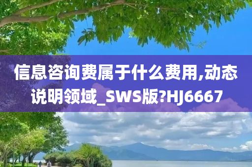 信息咨询费属于什么费用,动态说明领域_SWS版?HJ6667