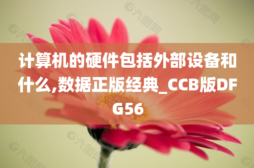 计算机的硬件包括外部设备和什么,数据正版经典_CCB版DFG56