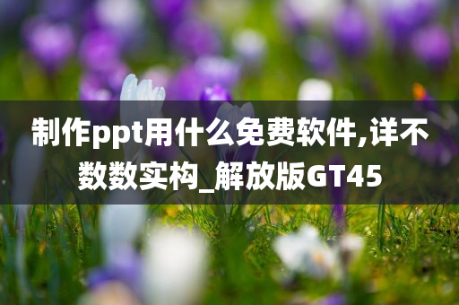 制作ppt用什么免费软件,详不数数实构_解放版GT45