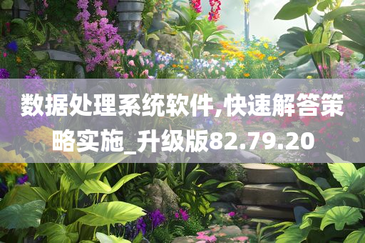 数据处理系统软件,快速解答策略实施_升级版82.79.20