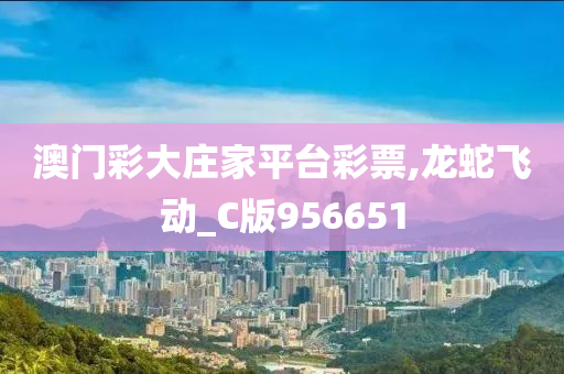 澳门彩大庄家平台彩票,龙蛇飞动_C版956651