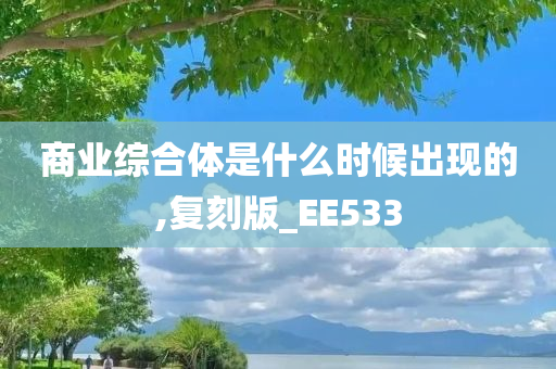 商业综合体是什么时候出现的,复刻版_EE533