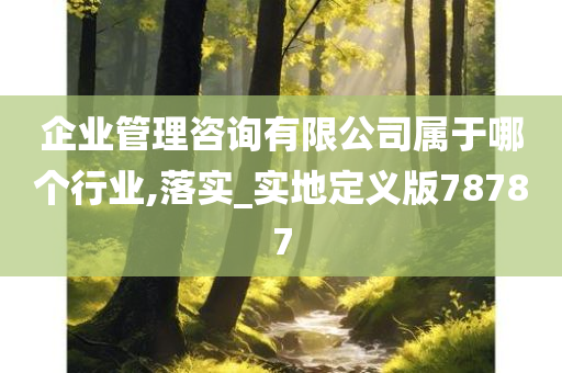 企业管理咨询有限公司属于哪个行业,落实_实地定义版78787