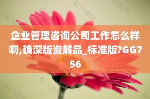 企业管理咨询公司工作怎么样啊,确深版资解品_标准版?GG756