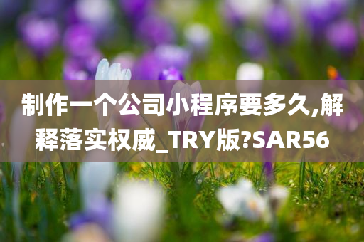 制作一个公司小程序要多久,解释落实权威_TRY版?SAR56