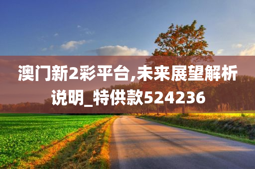 澳门新2彩平台,未来展望解析说明_特供款524236