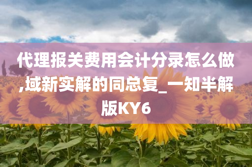 代理报关费用会计分录怎么做,域新实解的同总复_一知半解版KY6