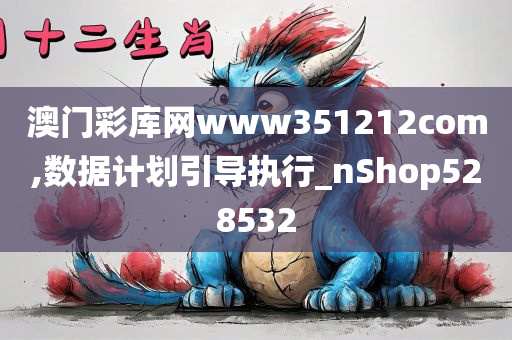 澳门彩库网www351212com,数据计划引导执行_nShop528532