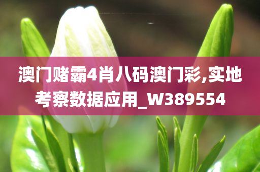 澳门赌霸4肖八码澳门彩,实地考察数据应用_W389554