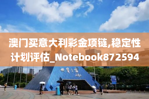 澳门买意大利彩金项链,稳定性计划评估_Notebook872594