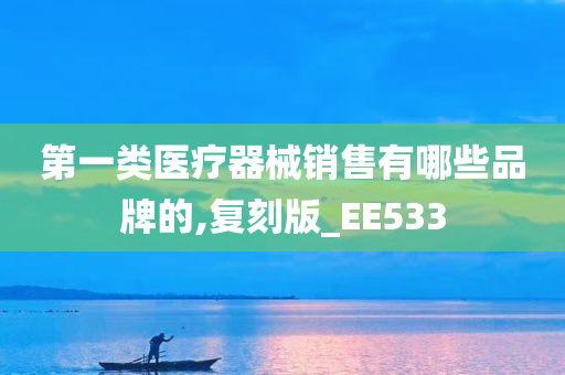 第一类医疗器械销售有哪些品牌的,复刻版_EE533